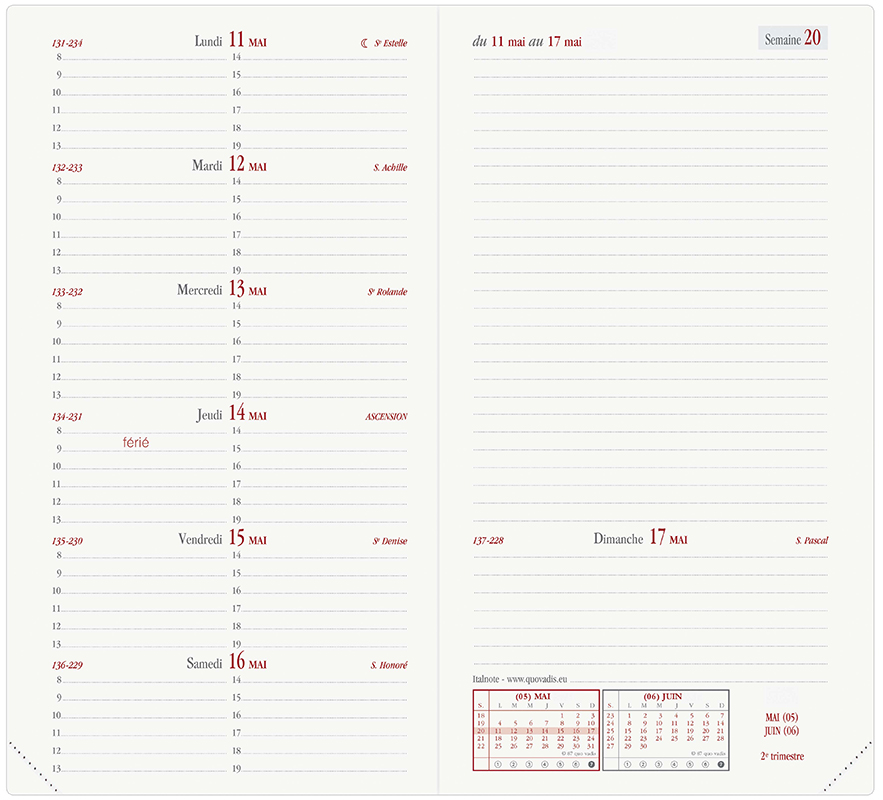 Italnote Equology Diary Refill ML 2024